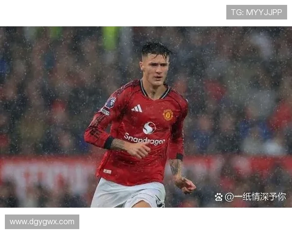 [德甲]第18轮：莱比锡2-3勒沃库森 集锦.